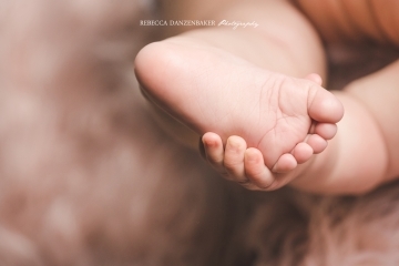 Baby feet photography