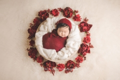 Baby photographer in Northern Virginia Baby photographer in Northern Virginia