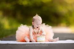 Cake Smash Outdoors Cake Smash Outdoors