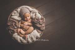 Northern Virginia baby photography Northern Virginia baby photography