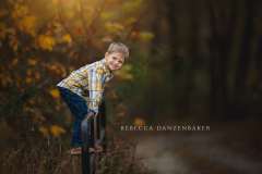 portrait of boy climbing a fence in the fall portrait of boy climbing a fence in the fall