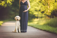 Maternity photography with Dog Maternity photography with Dog