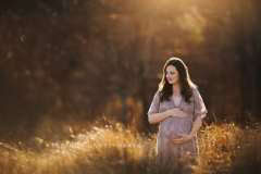 tall grass maternity portrait backlit tall grass maternity portrait backlit