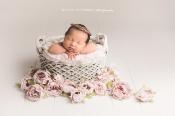 Ashburn newborn photography with props