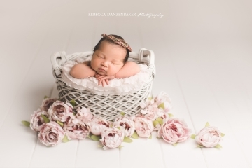 Ashburn newborn photography with props Ashburn newborn photography with props