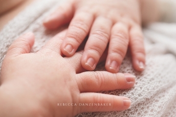 Newborn baby hands photography Northern Virginia