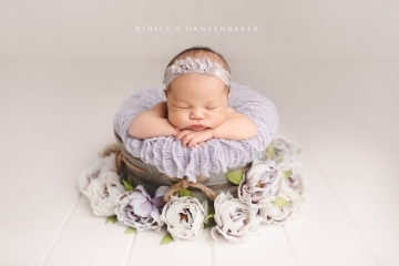 Lavender props newborn photography in Northern Va Lavender props newborn photography in Northern Va