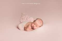 Newborn photographer in Ashburn VA Newborn photographer in Ashburn VA
