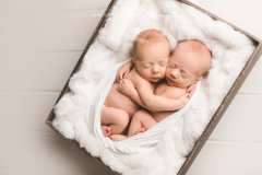 Newborn twins photo shoot