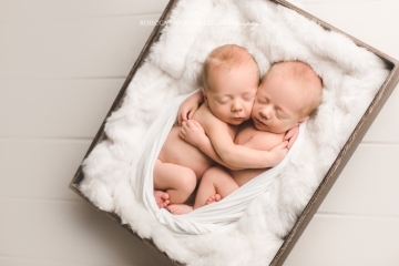 Newborn twins photo shoot