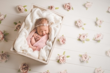 Newborn portrait studio