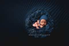 Posed newborn photography in Northern Virginia Posed newborn photography in Northern Virginia