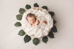 Newborn photographer using props in Northern Virginia Newborn photographer using props in Northern Virginia