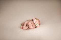Newborn baby girl photography Newborn baby girl photography