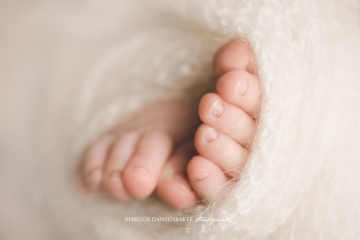 Newborn baby feet photographer
