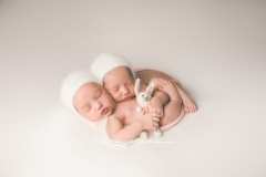 Newborn twin portraits in Northern Virginia Newborn twin portraits in Northern Virginia